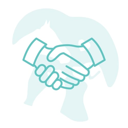 Breve Consulenza Gratuita